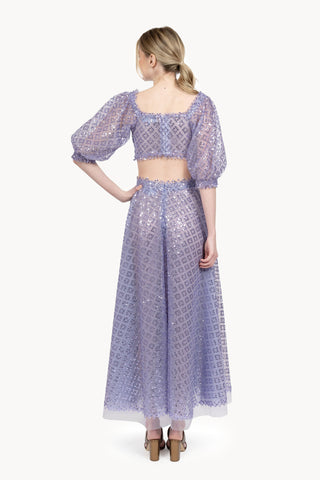 Embroidered tulle skirt with sequins