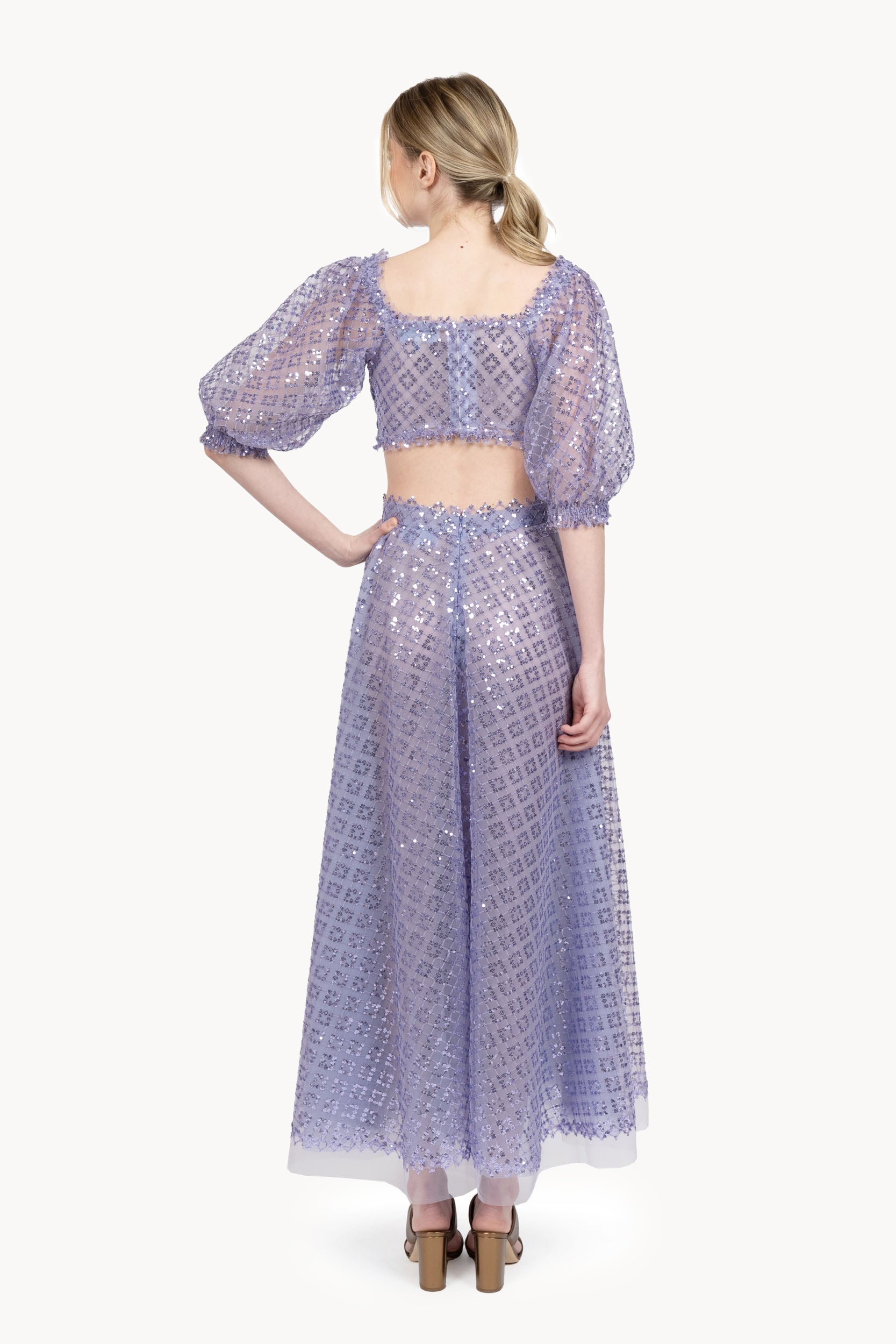 Embroidered tulle skirt with sequins