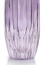 Set viola di due bicchieri tumbler grandi