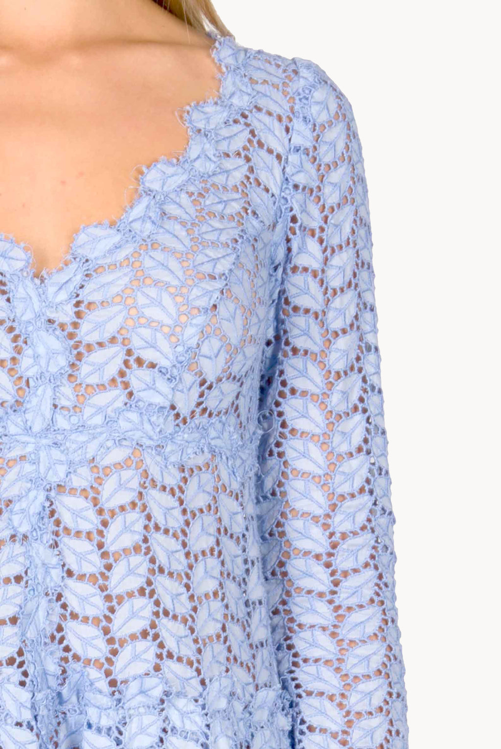 Eyelet Leaf-pattern Mini Dress