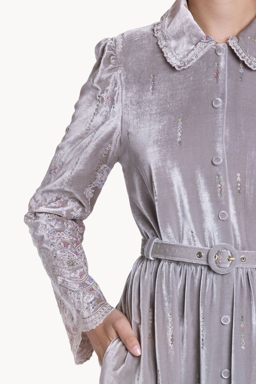 Velvet Chemisier Embroidered Dress