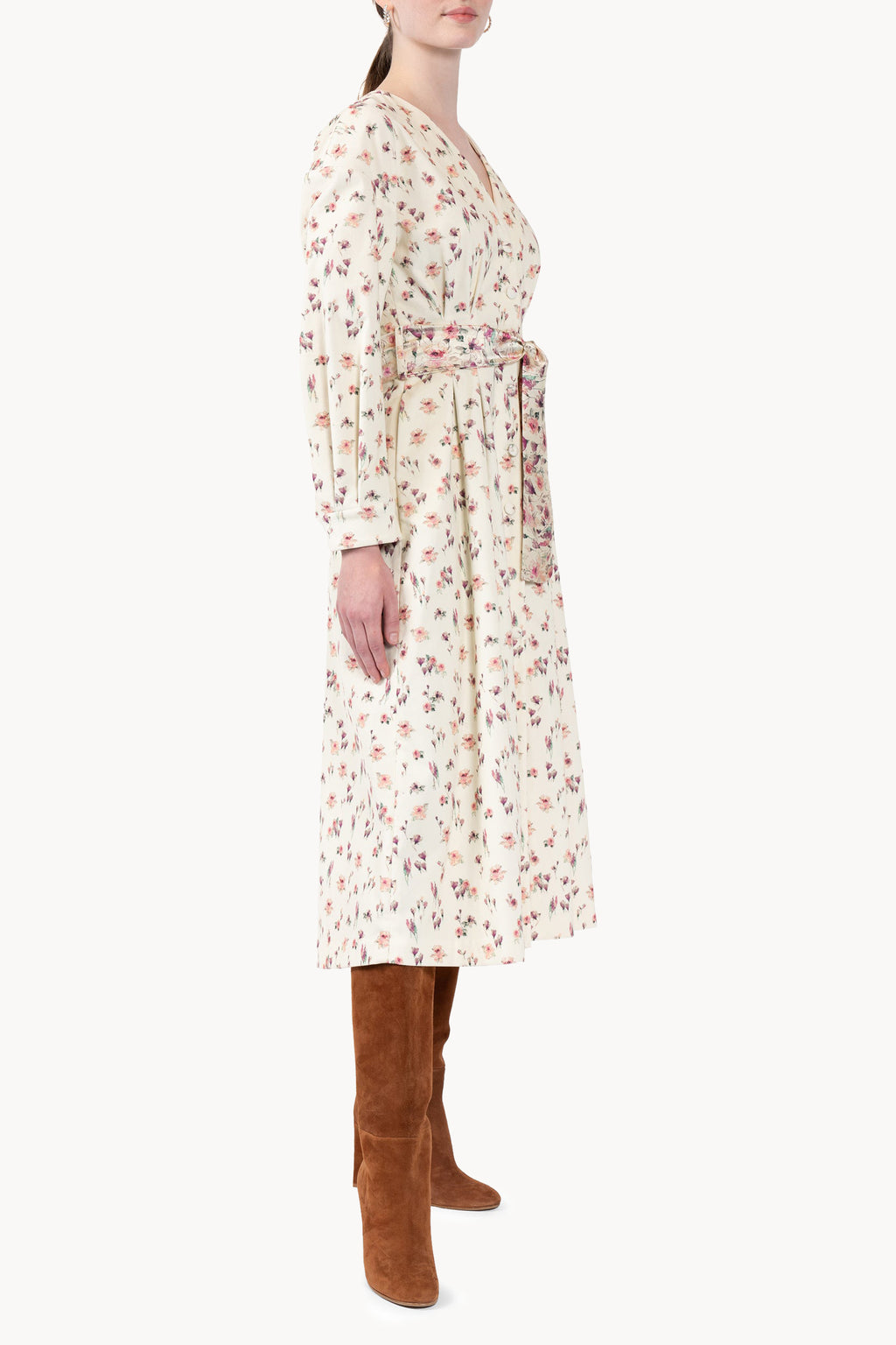 Velvet Rose Printed Dress