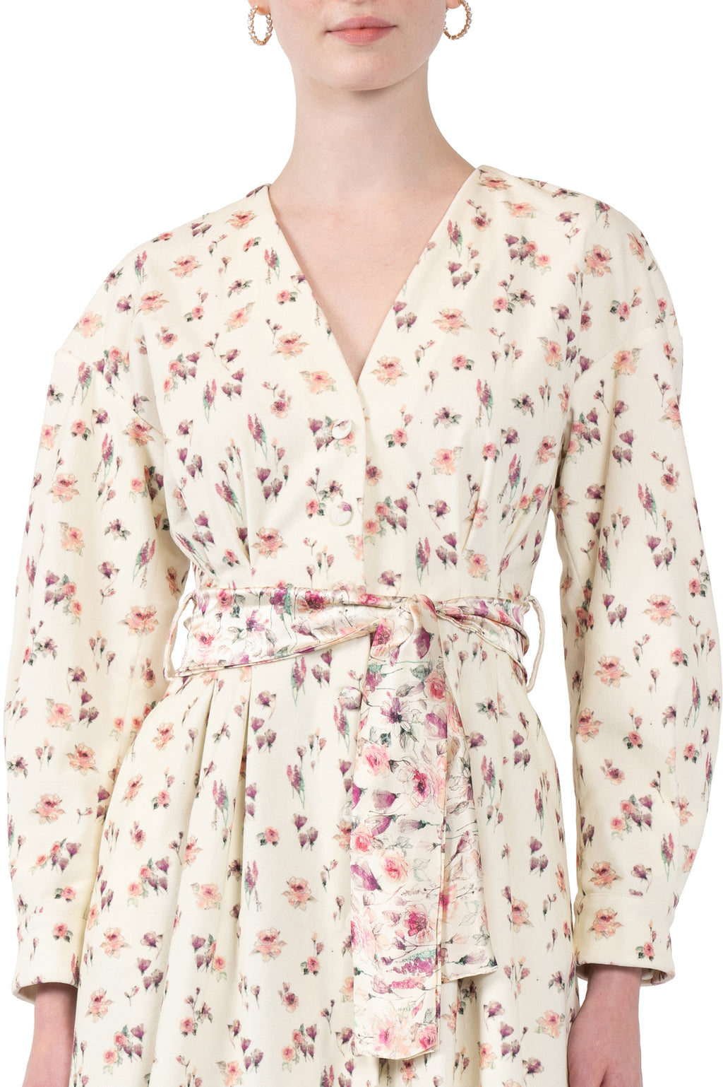 Velvet Rose Printed Dress