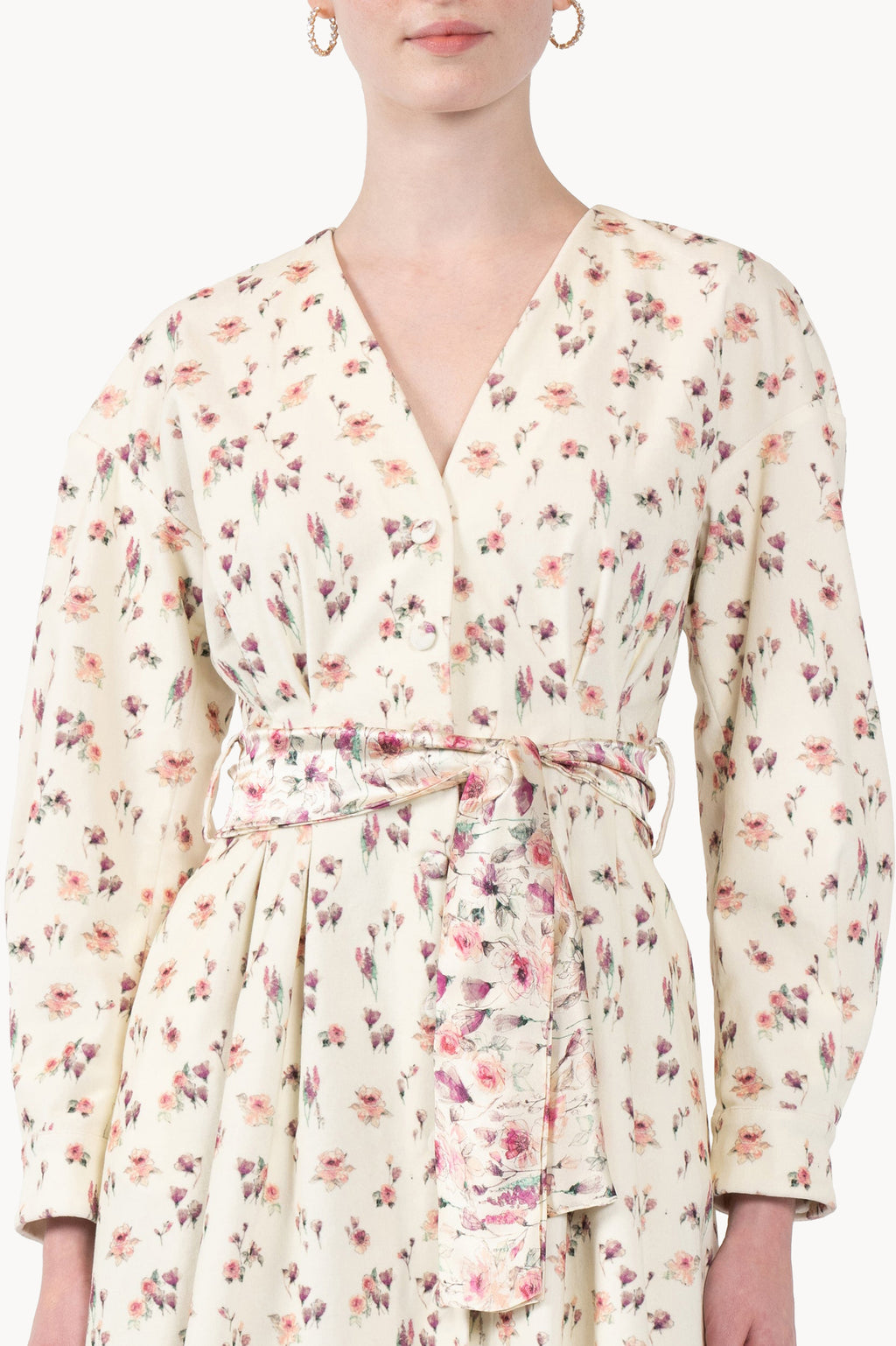 Velvet Rose Printed Dress