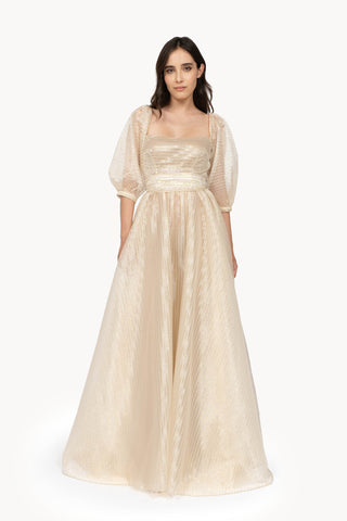 Puff Sleeves Dress