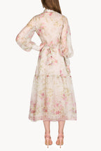 Print Silk Cream Organza Dress