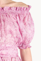 Roses Printed Organza Dress