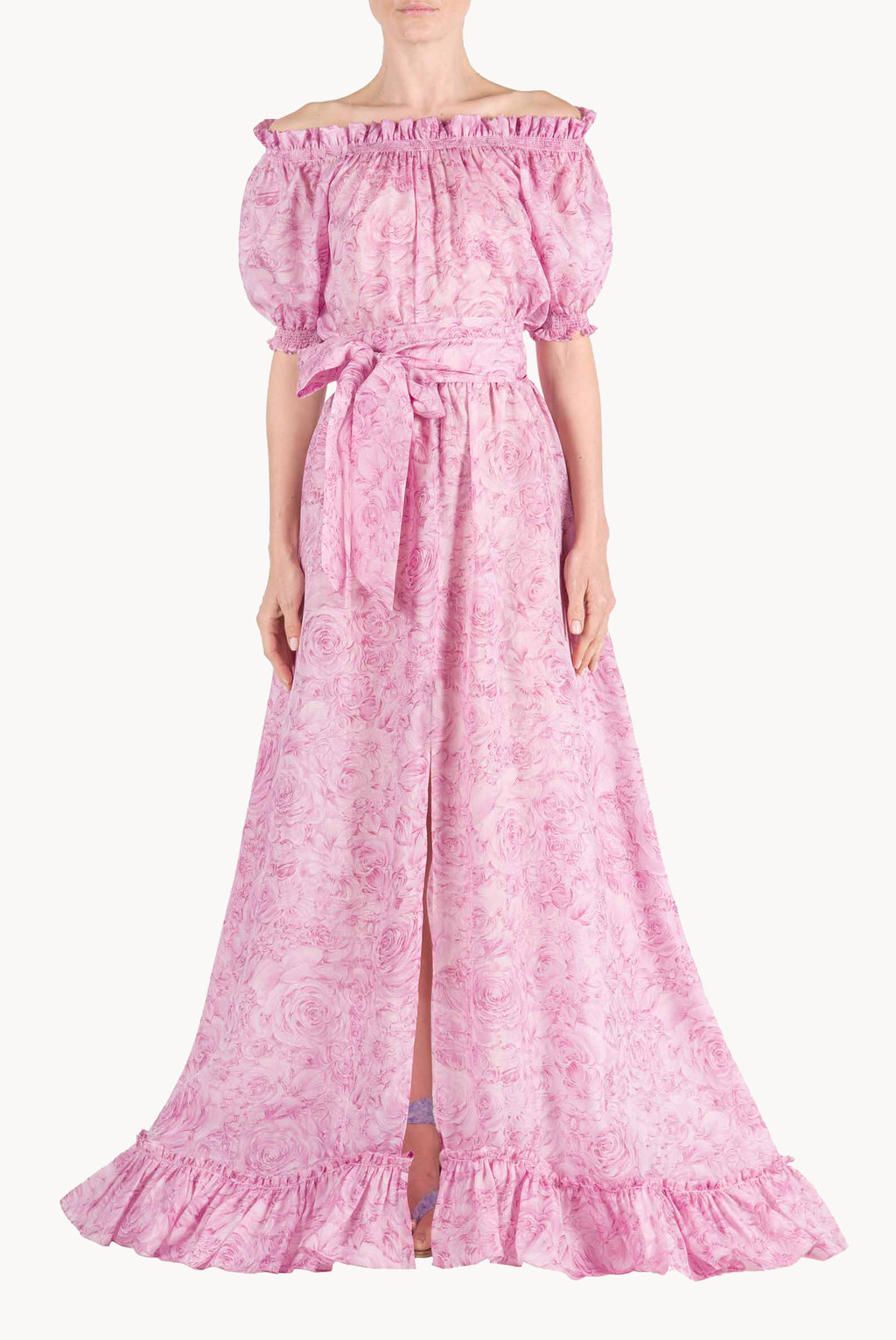 Roses Printed Organza Dress
