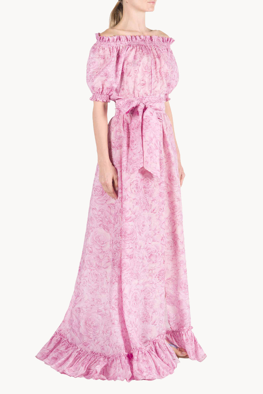 Roses Printed Organza Dress