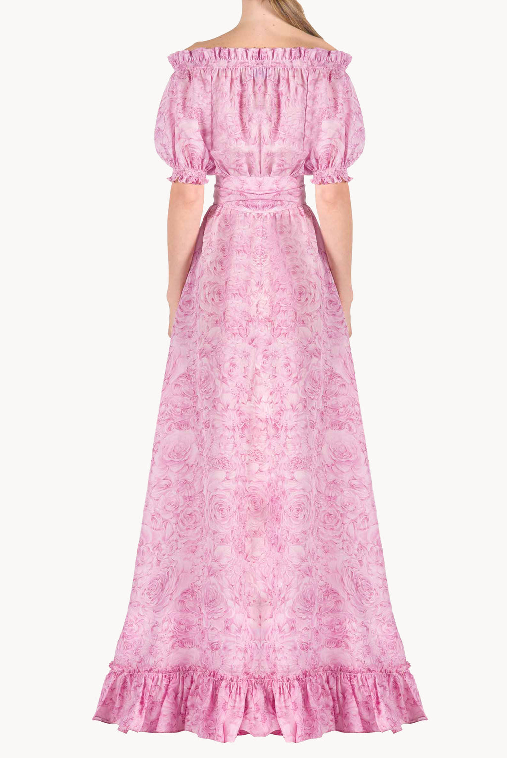 Roses Printed Organza Dress