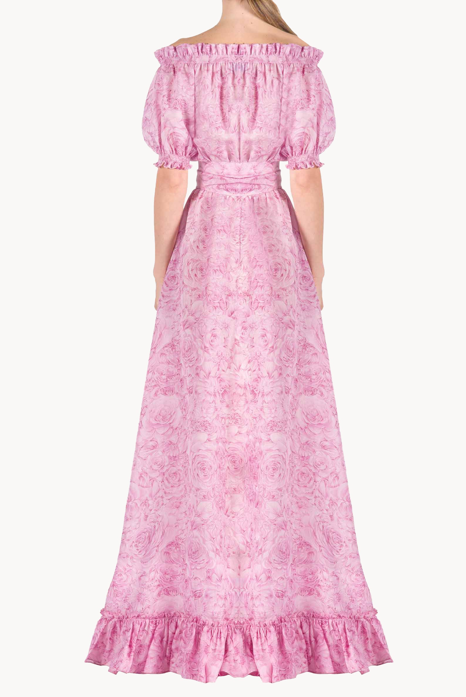 Roses Printed Organza Dress