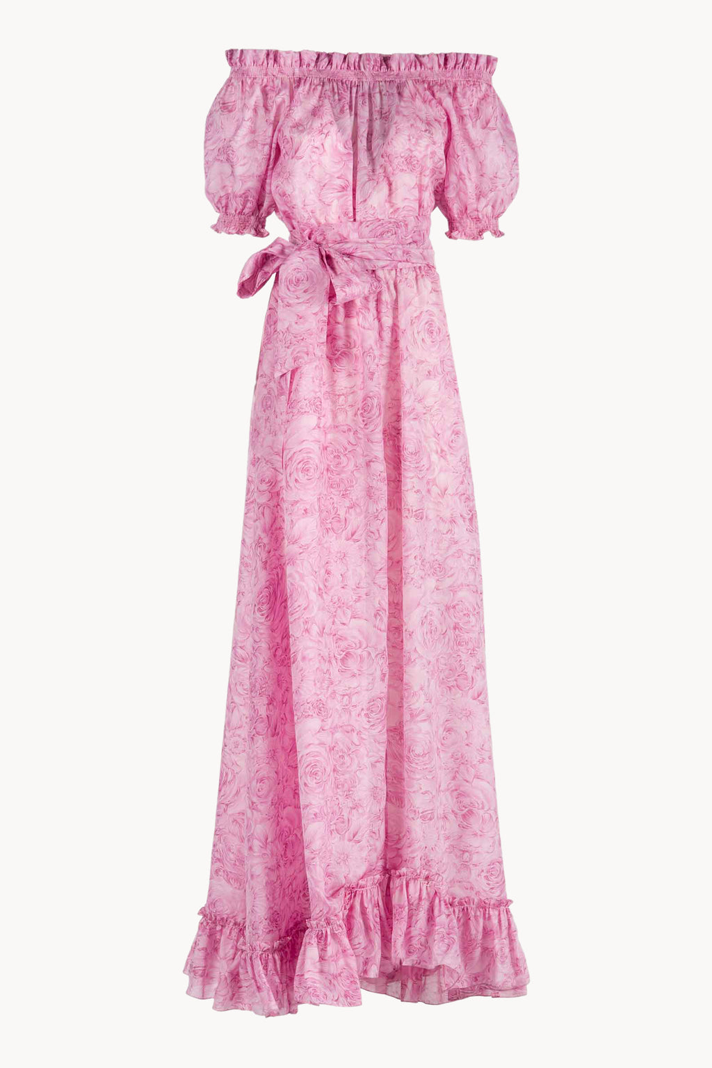 Roses Printed Organza Dress