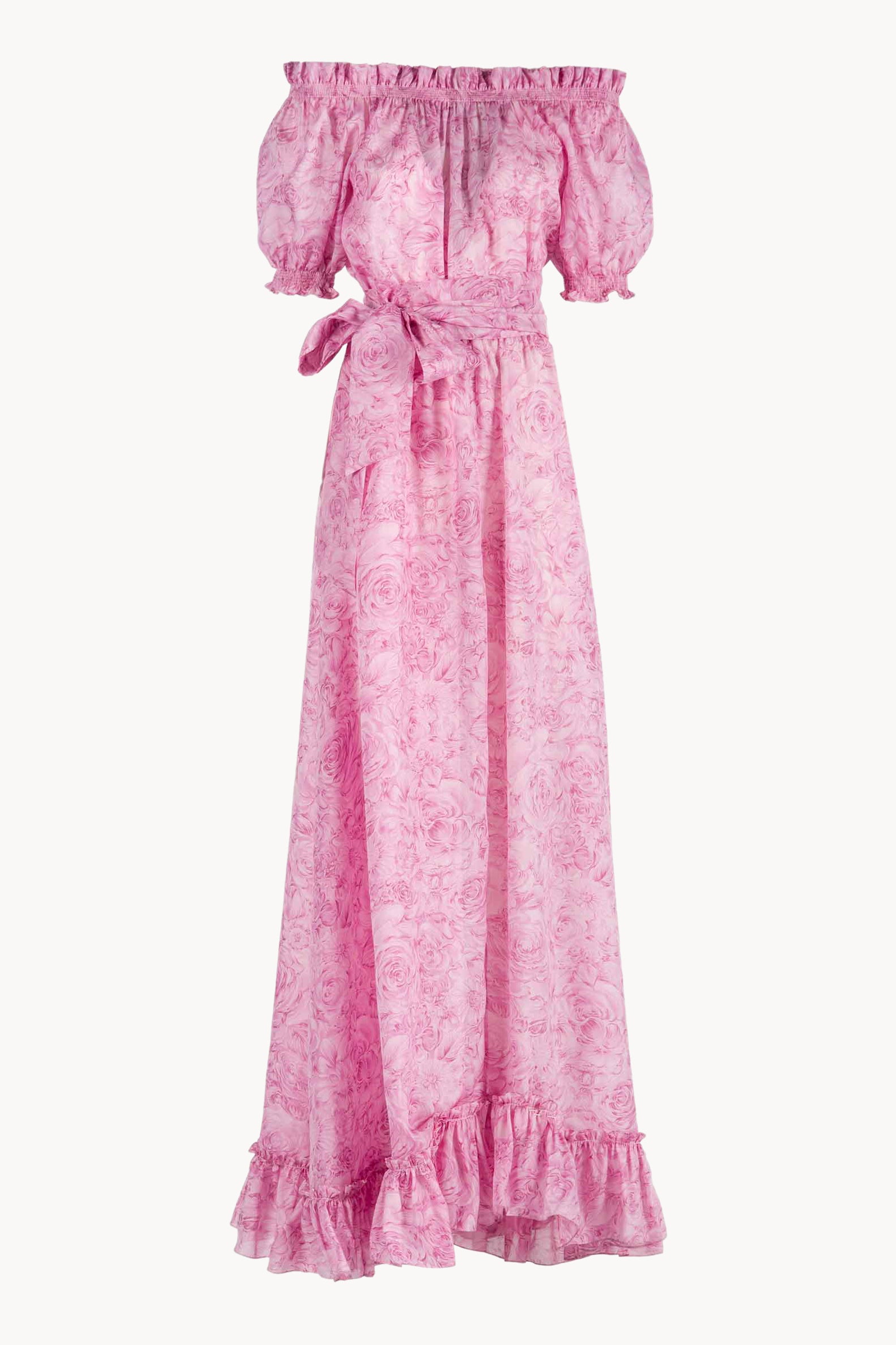 Roses Printed Organza Dress