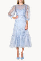 Sheer Balloon Sleeve Midi Dress