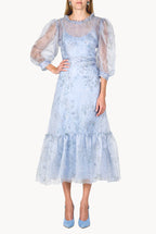 Sheer Balloon Sleeve Midi Dress