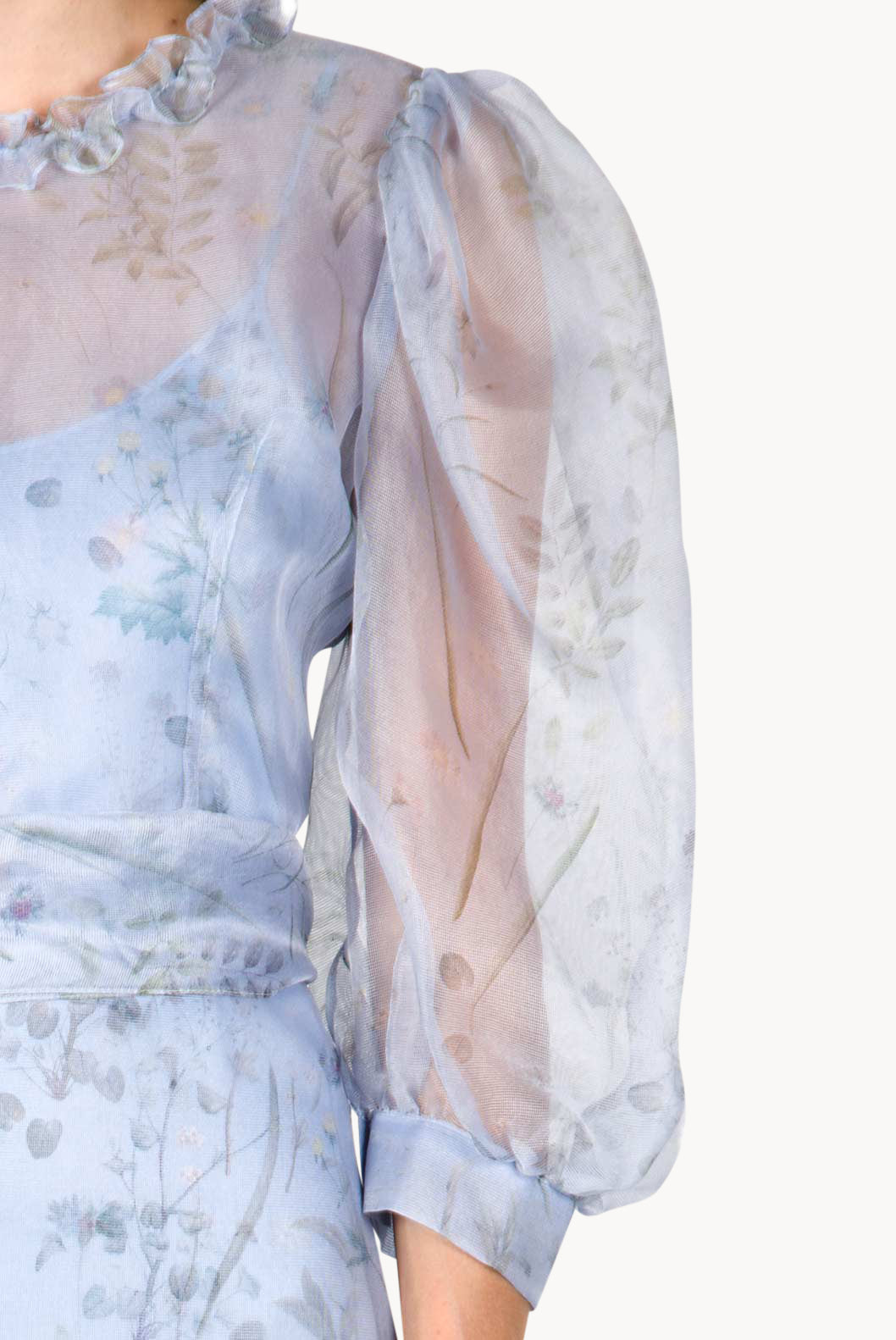 Sheer Balloon Sleeve Midi Dress
