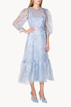 Sheer Balloon Sleeve Midi Dress