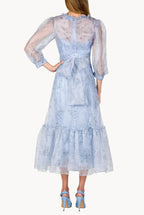 Sheer Balloon Sleeve Midi Dress