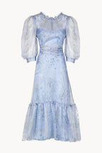 Sheer Balloon Sleeve Midi Dress