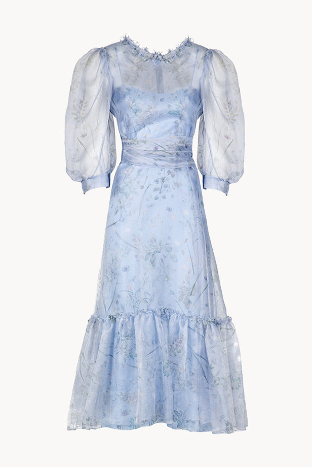 Sheer Balloon Sleeve Midi Dress