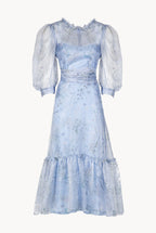Sheer Balloon Sleeve Midi Dress