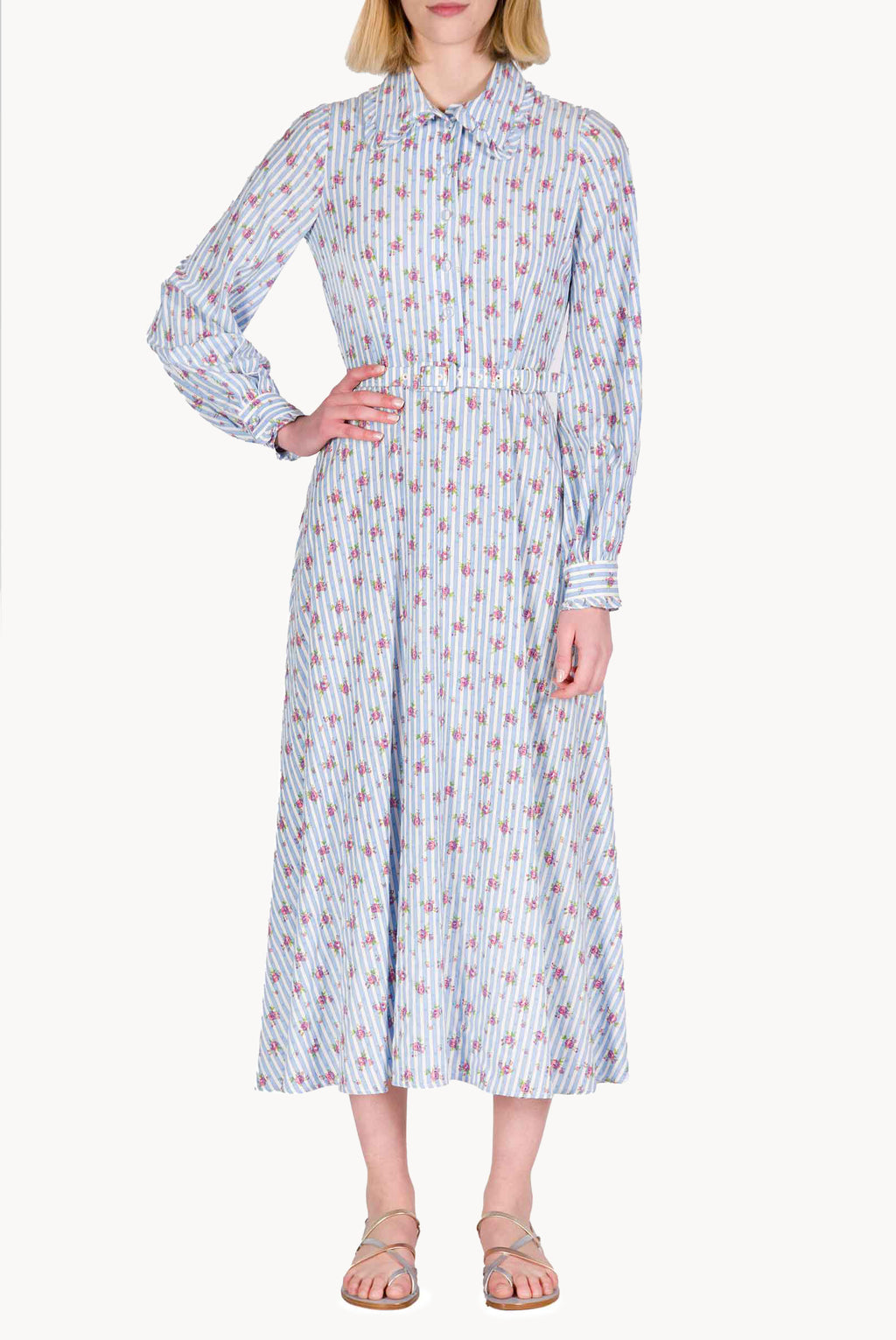 Striped Roses Chemisier Dress