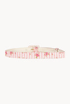 Cintura Rosa a Righe con Rose