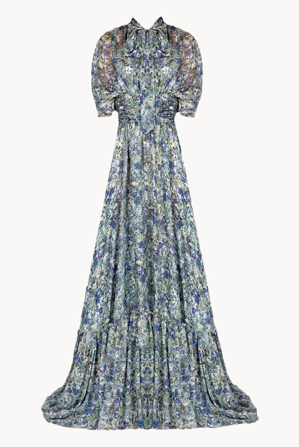 Printed Chiffon Maxi Dress