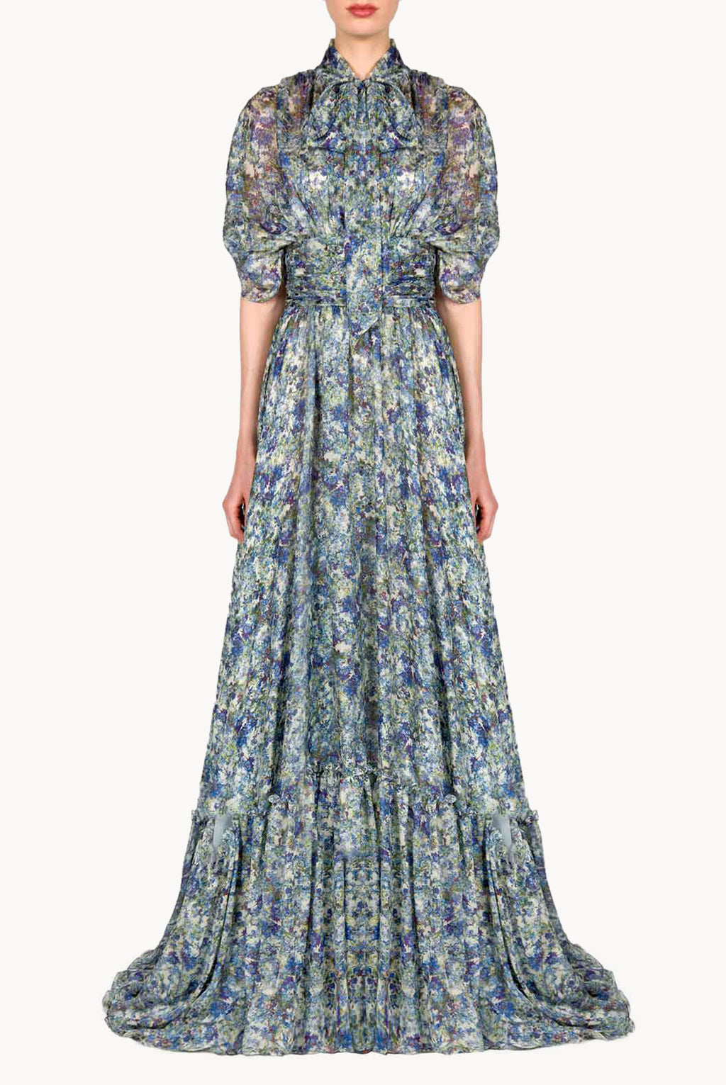 Printed Chiffon Maxi Dress