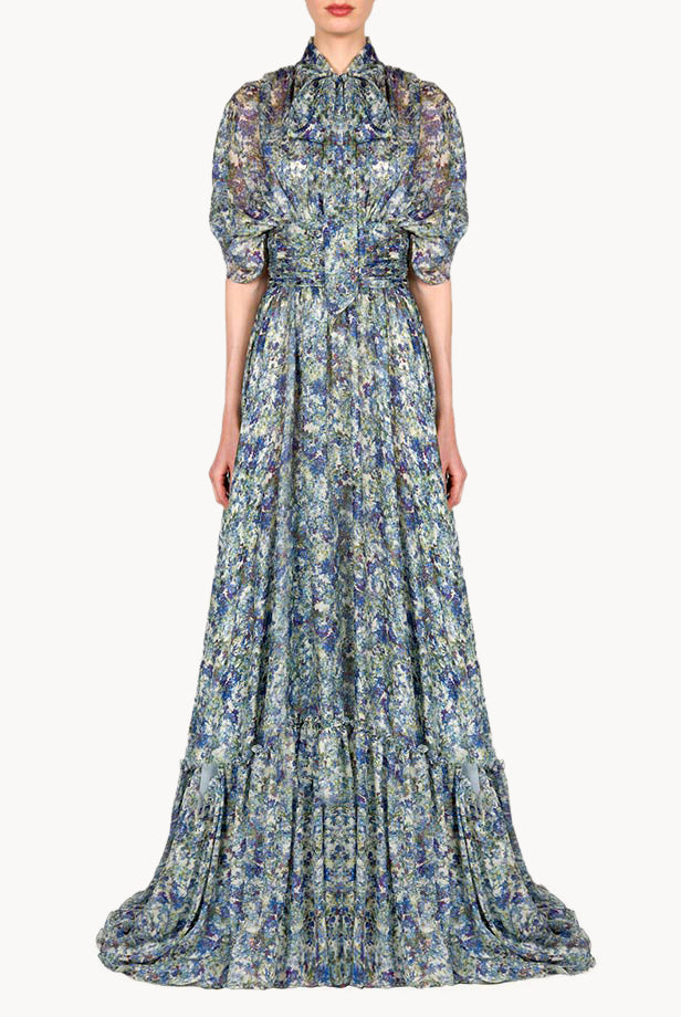 Printed Chiffon Maxi Dress