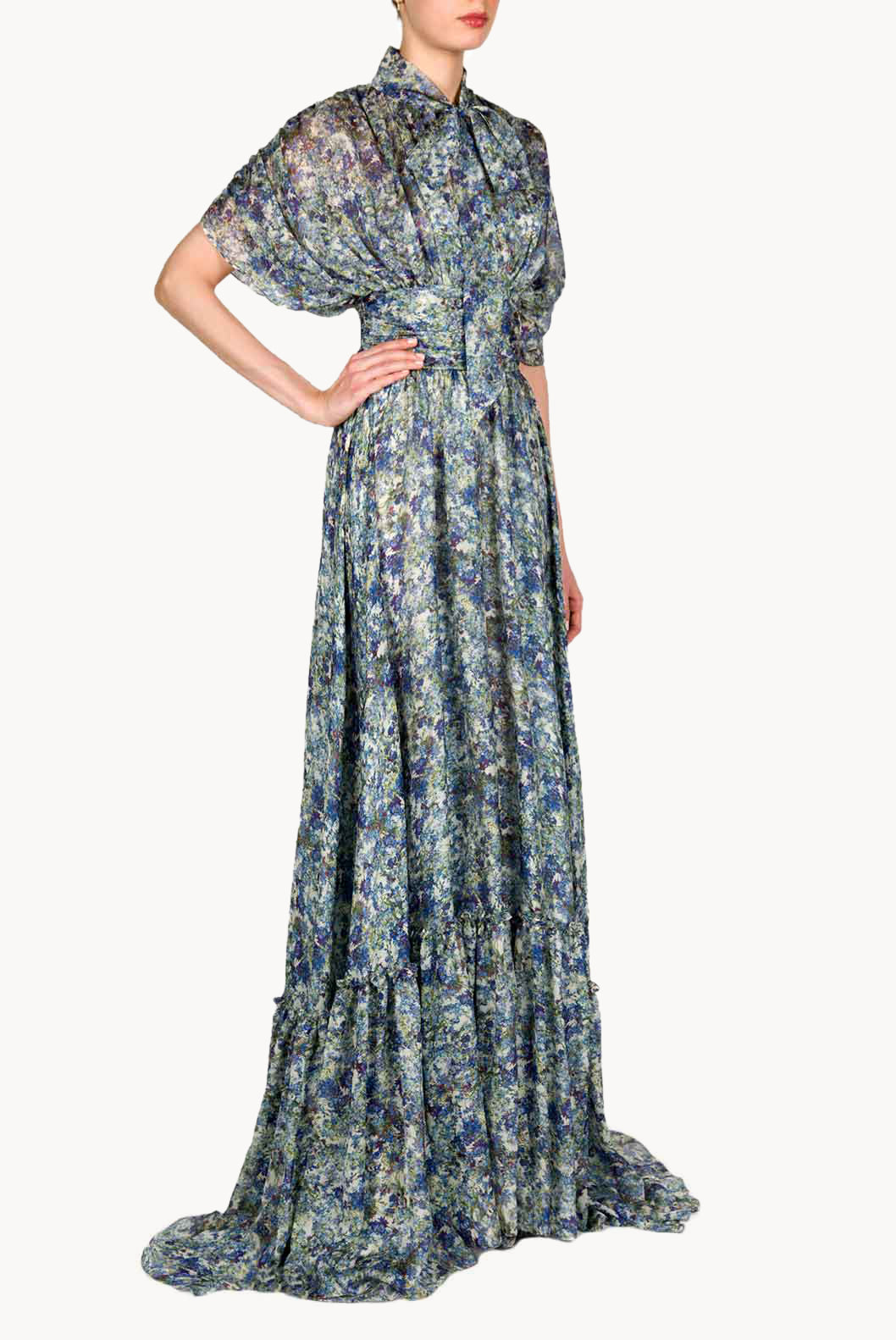 Printed Chiffon Maxi Dress