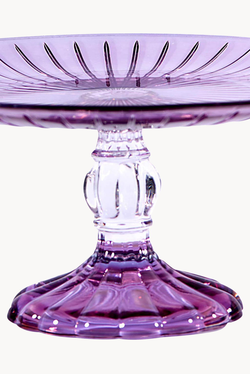 Portatorta viola